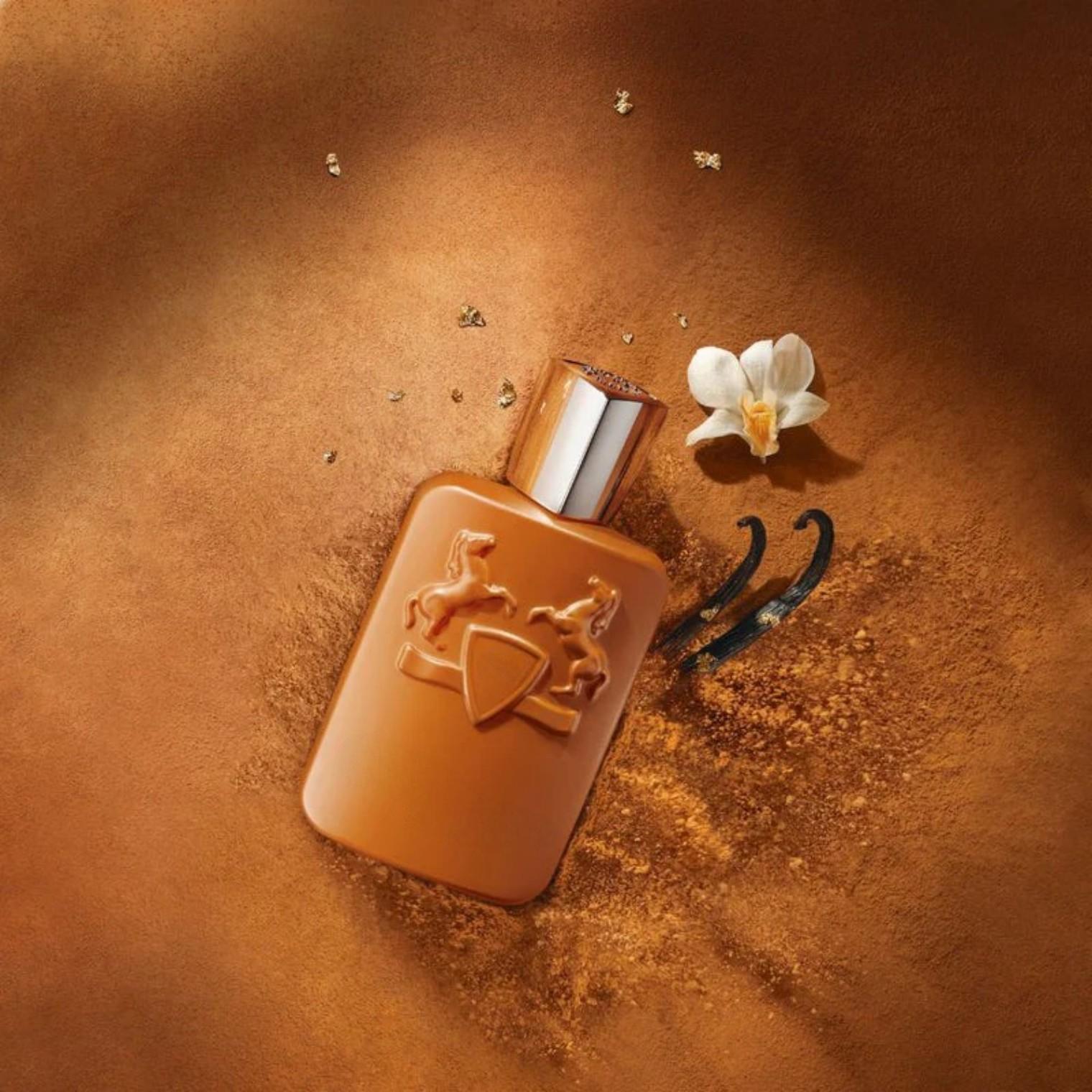 125ml 브라운 보틀 남성용 향수, 풍부한 우디 향  - Perfume Alcohol Fragrance 리뷰 및 가격